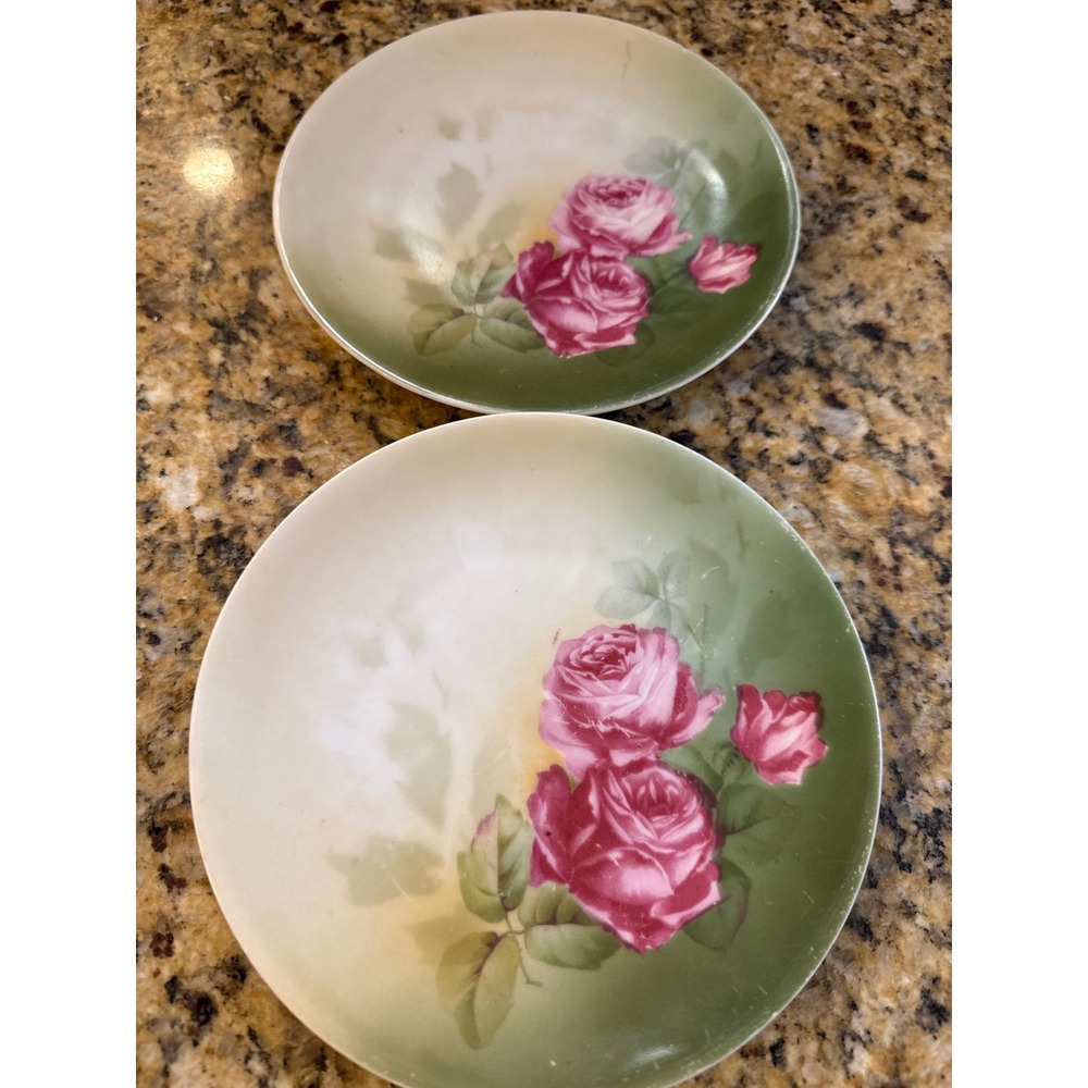 Antique German Porcelain Rose Plates Set of 2 Pink Floral Green 6.25 Inch AS IS